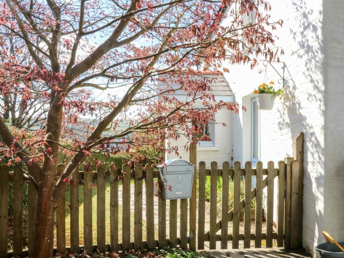 Spring Cottage Ilfracombe Extérieur photo